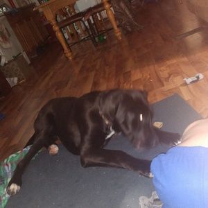 Meet your Posher, Dee